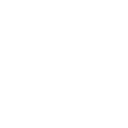 Mosquito